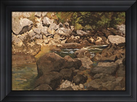 Framed Shapes of Nature Print