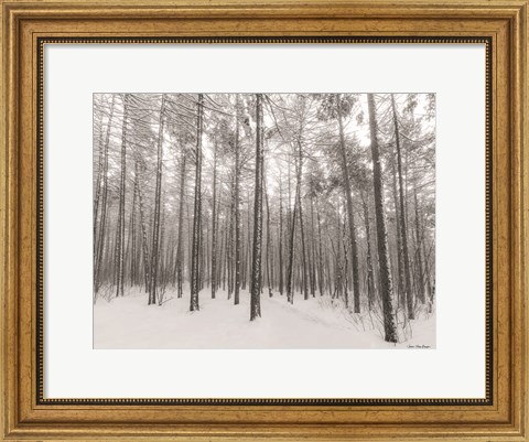 Framed Let It Snow Forest Print