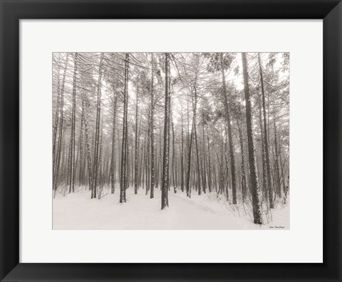 Framed Let It Snow Forest Print