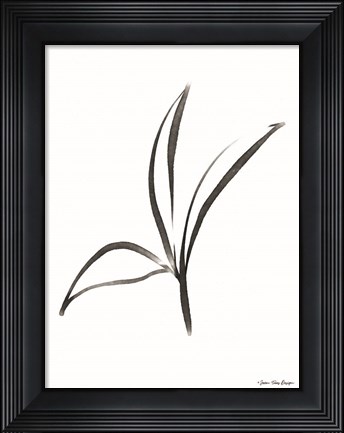 Framed Black Botanical Watercolor Print