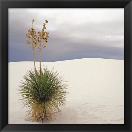 Framed Botanic Dunes Print