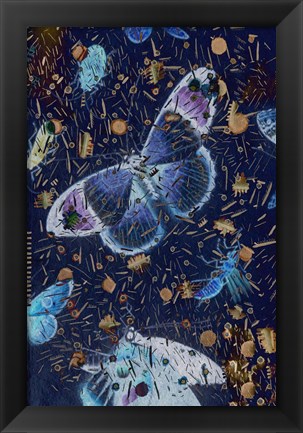 Framed Confetti with Butterflies I Print