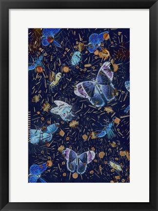 Framed Confetti with Butterflies II Print