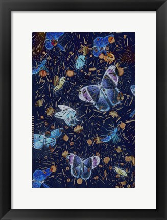 Framed Confetti with Butterflies II Print