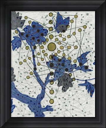 Framed Chakra Web with Butterfly Print