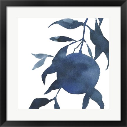 Framed Indigo Oranges I Print