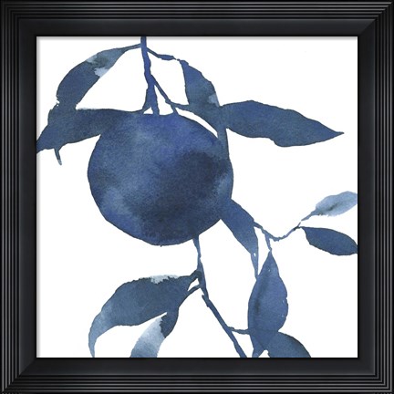 Framed Indigo Oranges II Print