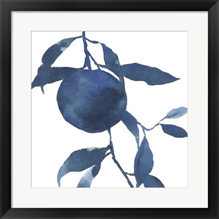 Framed Indigo Oranges II Print