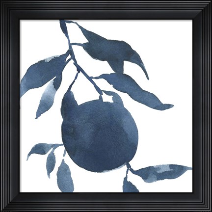 Framed Indigo Oranges III Print