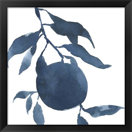 Framed Indigo Oranges III Print