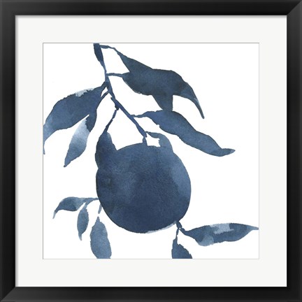 Framed Indigo Oranges III Print