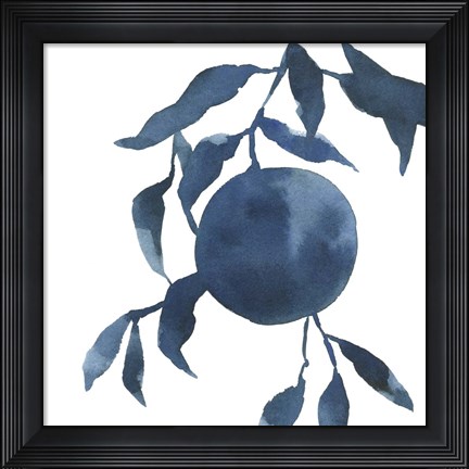 Framed Indigo Oranges IV Print