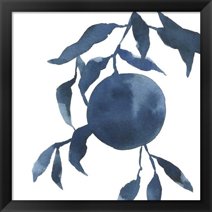 Framed Indigo Oranges IV Print