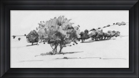 Framed Treeline Sketch I Print