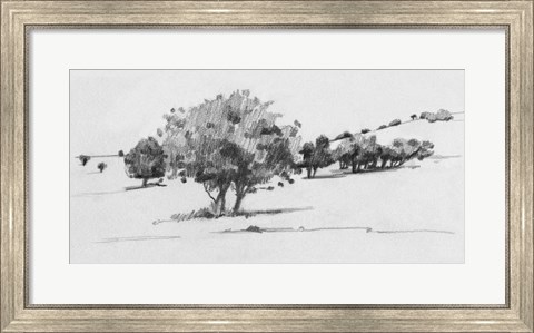 Framed Treeline Sketch I Print
