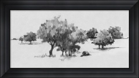 Framed Treeline Sketch II Print