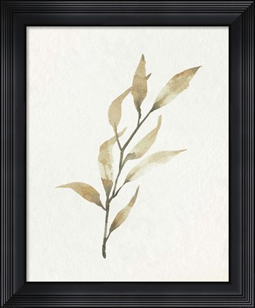 Framed Soft Autumn Branch I Print