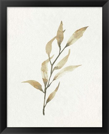 Framed Soft Autumn Branch I Print