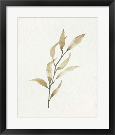 Framed Soft Autumn Branch I Print