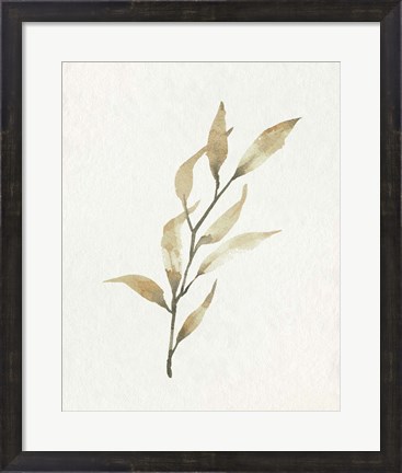 Framed Soft Autumn Branch I Print