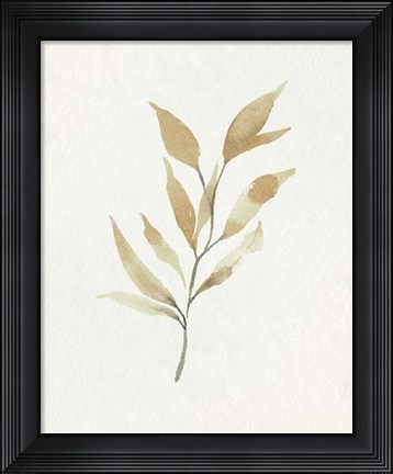Framed Soft Autumn Branch II Print