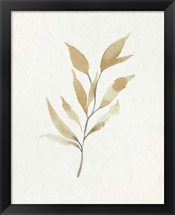 Framed Soft Autumn Branch II Print