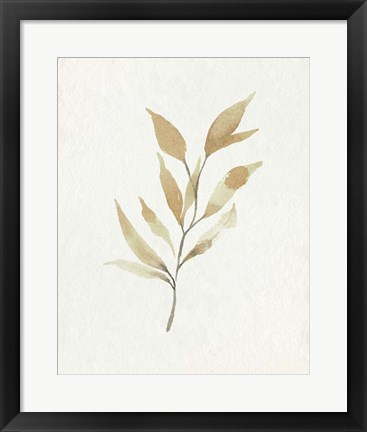 Framed Soft Autumn Branch II Print