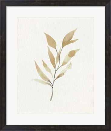 Framed Soft Autumn Branch II Print