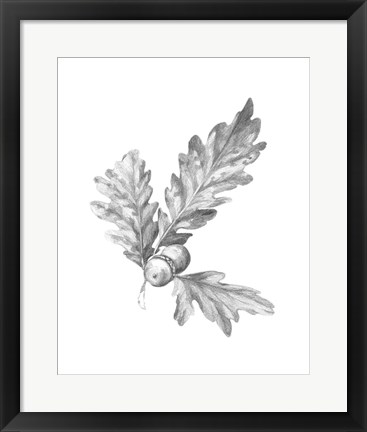 Framed Oak Leaf Pencil Sketch I Print