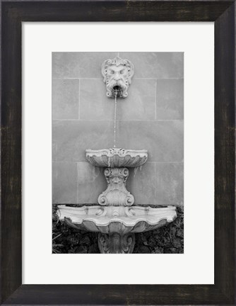 Framed Black &amp; White Fountains I Print