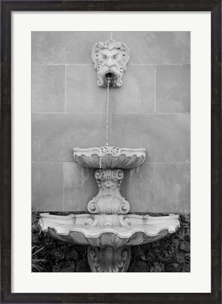 Framed Black &amp; White Fountains I Print