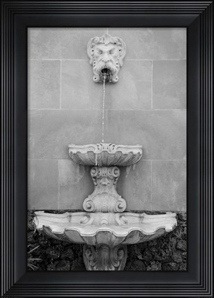 Framed Black &amp; White Fountains I Print