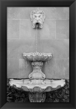 Framed Black &amp; White Fountains I Print