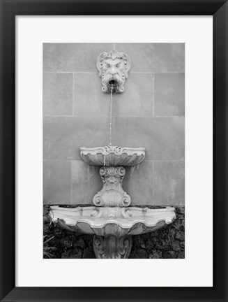 Framed Black &amp; White Fountains I Print