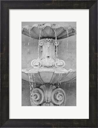 Framed Black &amp; White Fountains II Print