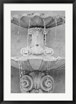 Framed Black &amp; White Fountains II Print