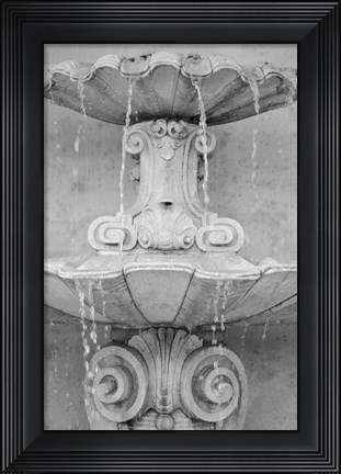 Framed Black &amp; White Fountains II Print