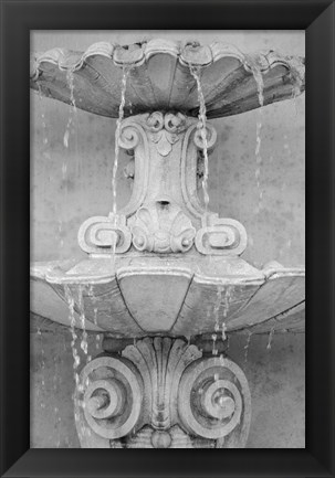 Framed Black &amp; White Fountains II Print