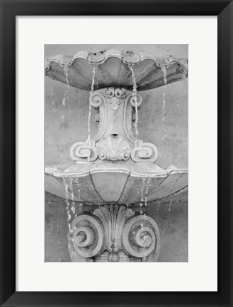 Framed Black &amp; White Fountains II Print