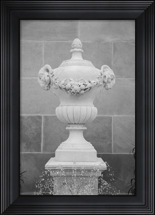 Framed Black &amp; White Fountains III Print