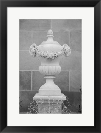 Framed Black &amp; White Fountains III Print