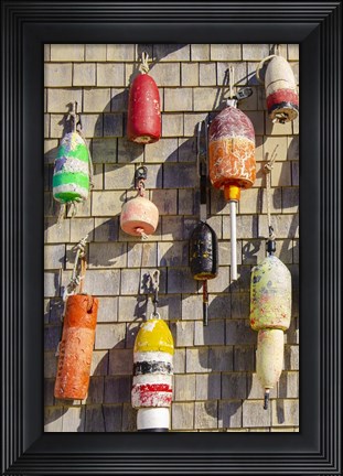 Framed Coastal Trappings I Print
