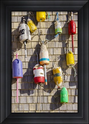 Framed Coastal Trappings II Print