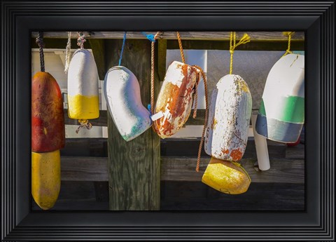 Framed Coastal Trappings III Print