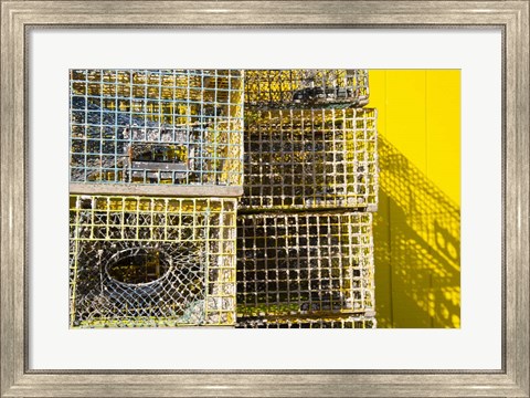 Framed Coastal Trappings IV Print