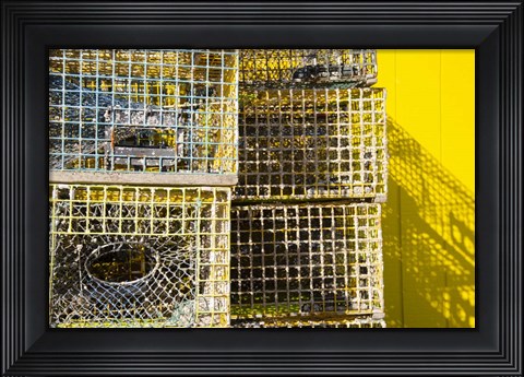 Framed Coastal Trappings IV Print