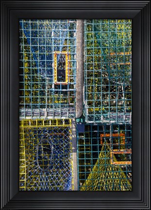 Framed Coastal Trappings V Print