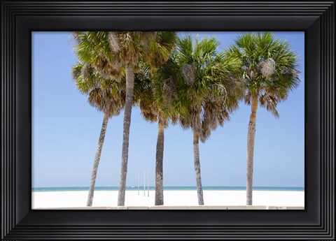 Framed Coastal Palms I Print