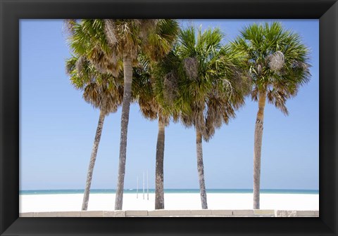 Framed Coastal Palms I Print