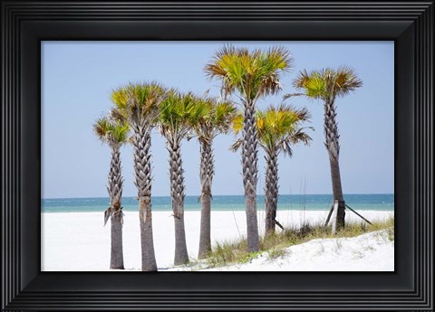 Framed Coastal Palms II Print